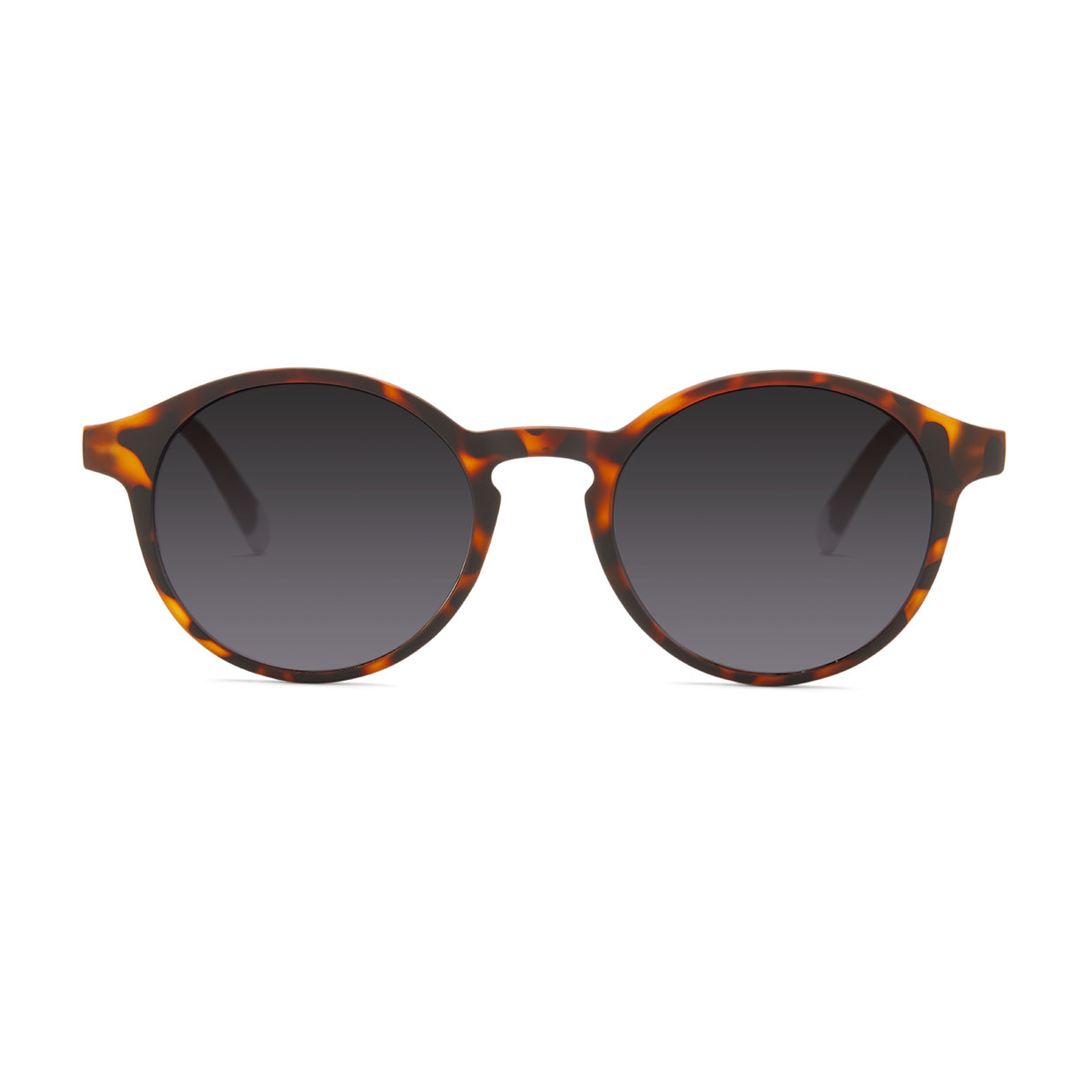 LE-MARAIS-TORTOISE-FRONT-product